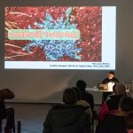 Buex Startup 24.1.25 WEBsize 47